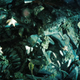 Illustration for article titled Transformers 2 Trailer: Screen Shot Mega-Gallery